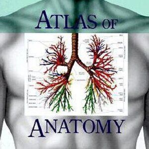 Atlas of Anatomy